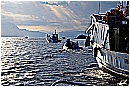 15H_5298 - 257 KB