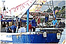 15H_5299 - 241 KB