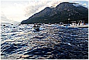 15H_5397 - 250 KB