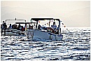 15H_5417 - 216 KB