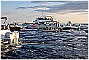 15H_5433 - 241 KB