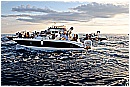15H_5435 - 231 KB
