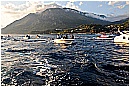 15H_5438 - 277 KB