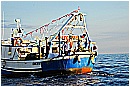 15H_5441 - 223 KB