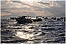 15H_5443 - 243 KB