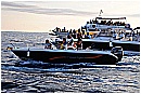 15H_5461 - 226 KB