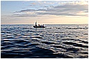 15H_5477 - 169 KB