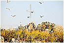 15H_5483 - 245 KB