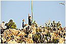 15H_5494 - 261 KB