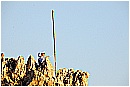 15H_5502 - 155 KB