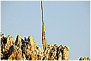 15H_5506 - 177 KB