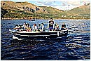 15H_5526 - 285 KB