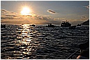15H_5534 - 196 KB
