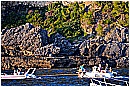 15H_5542 - 335 KB