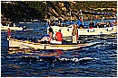15H_5566 - 313 KB