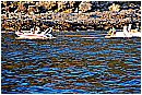 15H_5570 - 309 KB