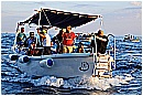 15H_5575 - 239 KB