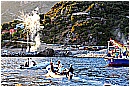 15H_5584 - 341 KB