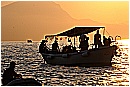 15H_5591 - 194 KB