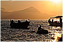 15H_5592 - 195 KB