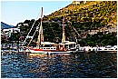 15H_5595 - 323 KB