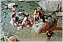 15H_5693 - 200 KB