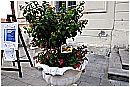 15L_5975 - 247 KB