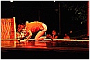 15L_6200 - 116 KB