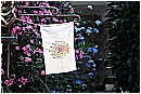 15L_6568 - 157 KB