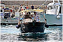 15L_6603 - 240 KB