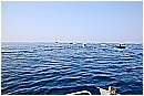 15L_6622 - 175 KB