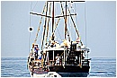 15L_6624 - 157 KB