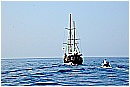 15L_6625 - 146 KB