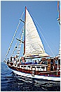 15L_6642 - 167 KB