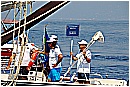 15L_6643 - 180 KB