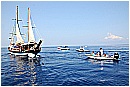 15L_6648 - 190 KB