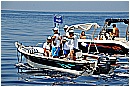 15L_6656 - 215 KB