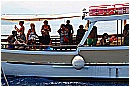 15L_6662 - 170 KB