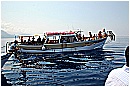 15L_6663 - 182 KB