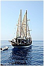 15L_6664 - 138 KB