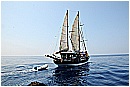 15L_6665 - 149 KB