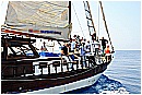 15L_6668 - 203 KB