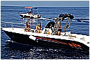 15L_6674 - 227 KB