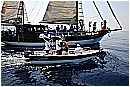 15L_6681 - 242 KB