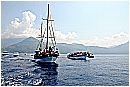 15L_6686 - 178 KB