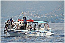 15L_6701 - 196 KB