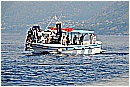 15L_6704 - 229 KB