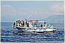 15L_6711 - 194 KB