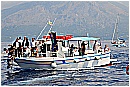 15L_6713 - 240 KB