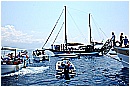 15L_6755 - 209 KB